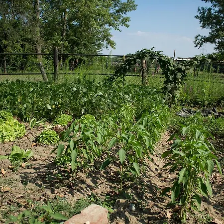 Il Fojot Farma