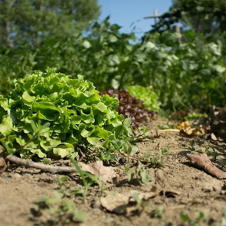 Il Fojot Séjour à la ferme *